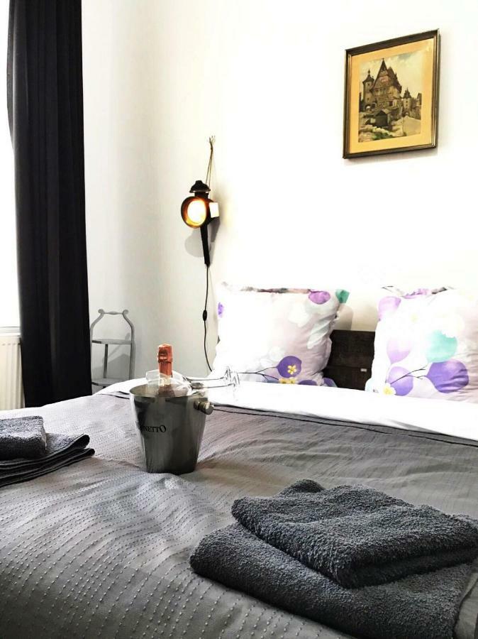 דירות קלוז'-נאפוקה Mansion Josephina מראה חיצוני תמונה