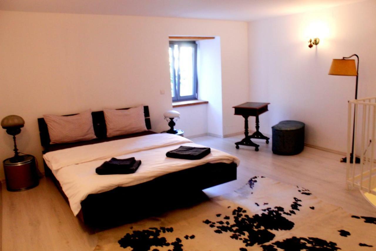 דירות קלוז'-נאפוקה Mansion Josephina מראה חיצוני תמונה