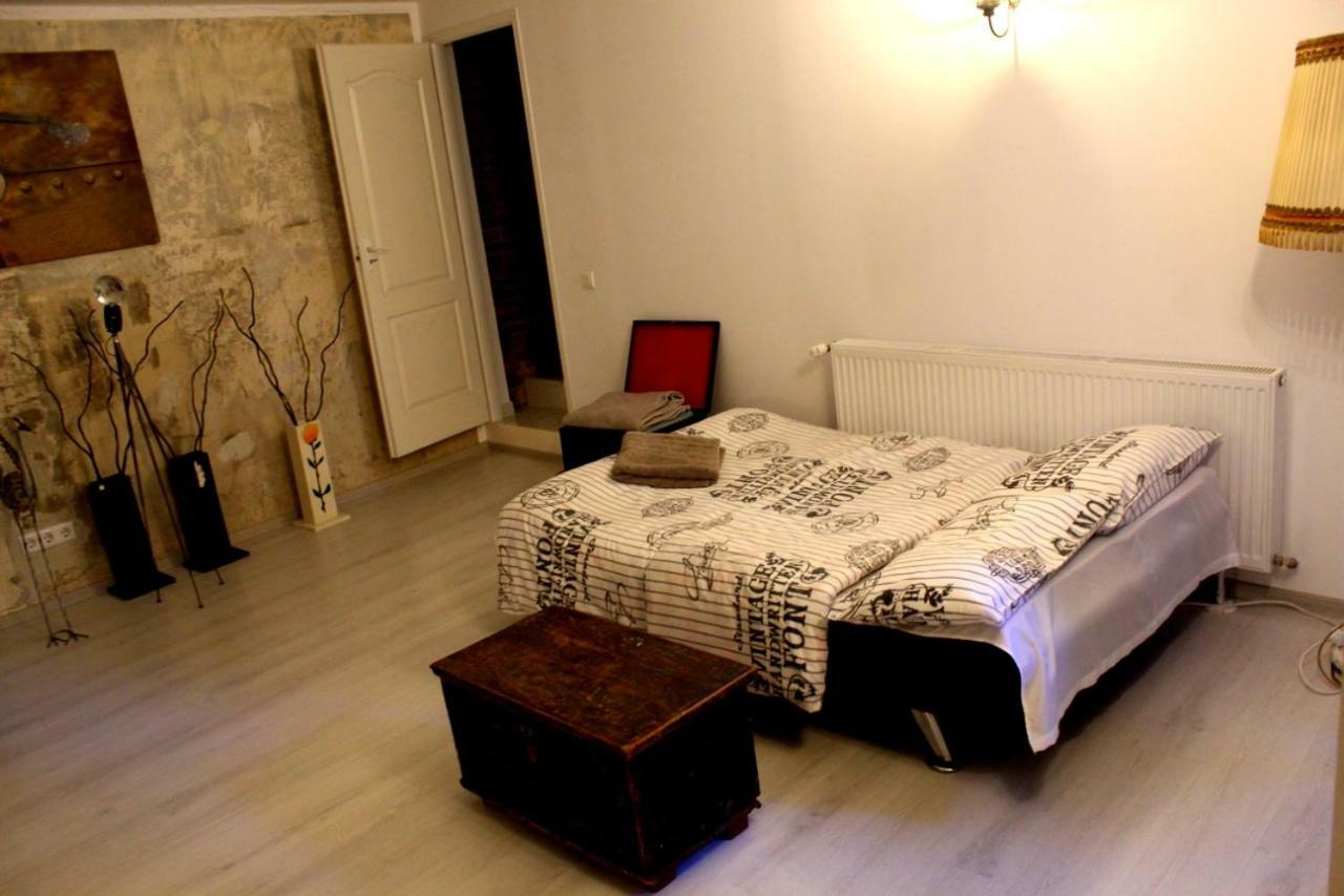 דירות קלוז'-נאפוקה Mansion Josephina מראה חיצוני תמונה